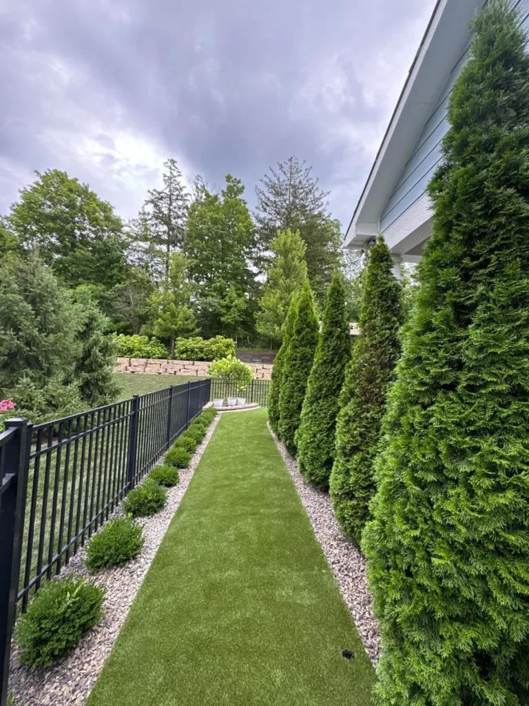 Narrow side yard with K9Grass Endura artificial turf path flanked by arborvitae, gravel borders, and black aluminum fence.