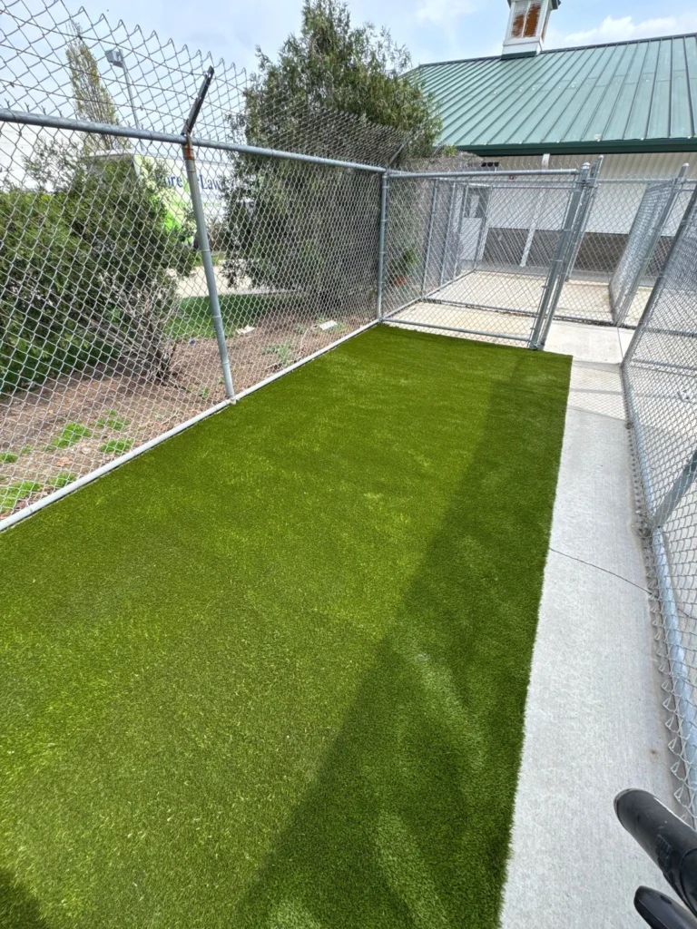 Pet Turf Installation at PetSuites Fishers