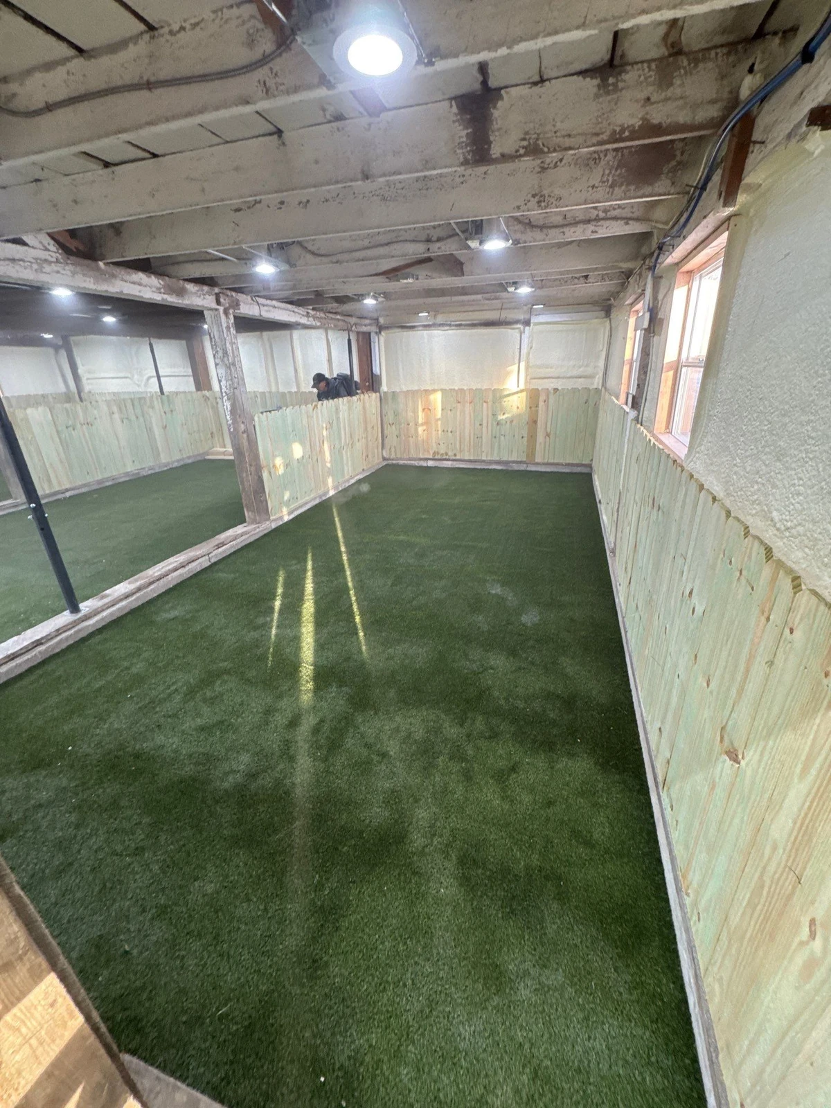 Indoor basement dog park with K9Grass Elite artificial turf, wood panel walls, recessed lighting, and large mirror in Pittsboro, IN.