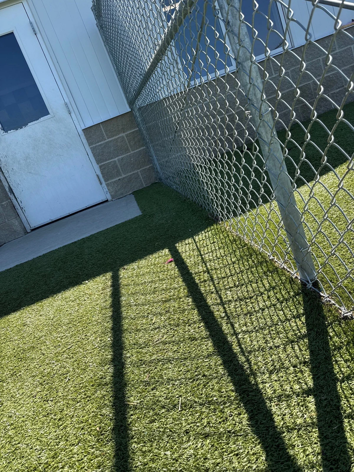 Featured image for “K9Grass® Repair at Johnson County Animal Shelter”