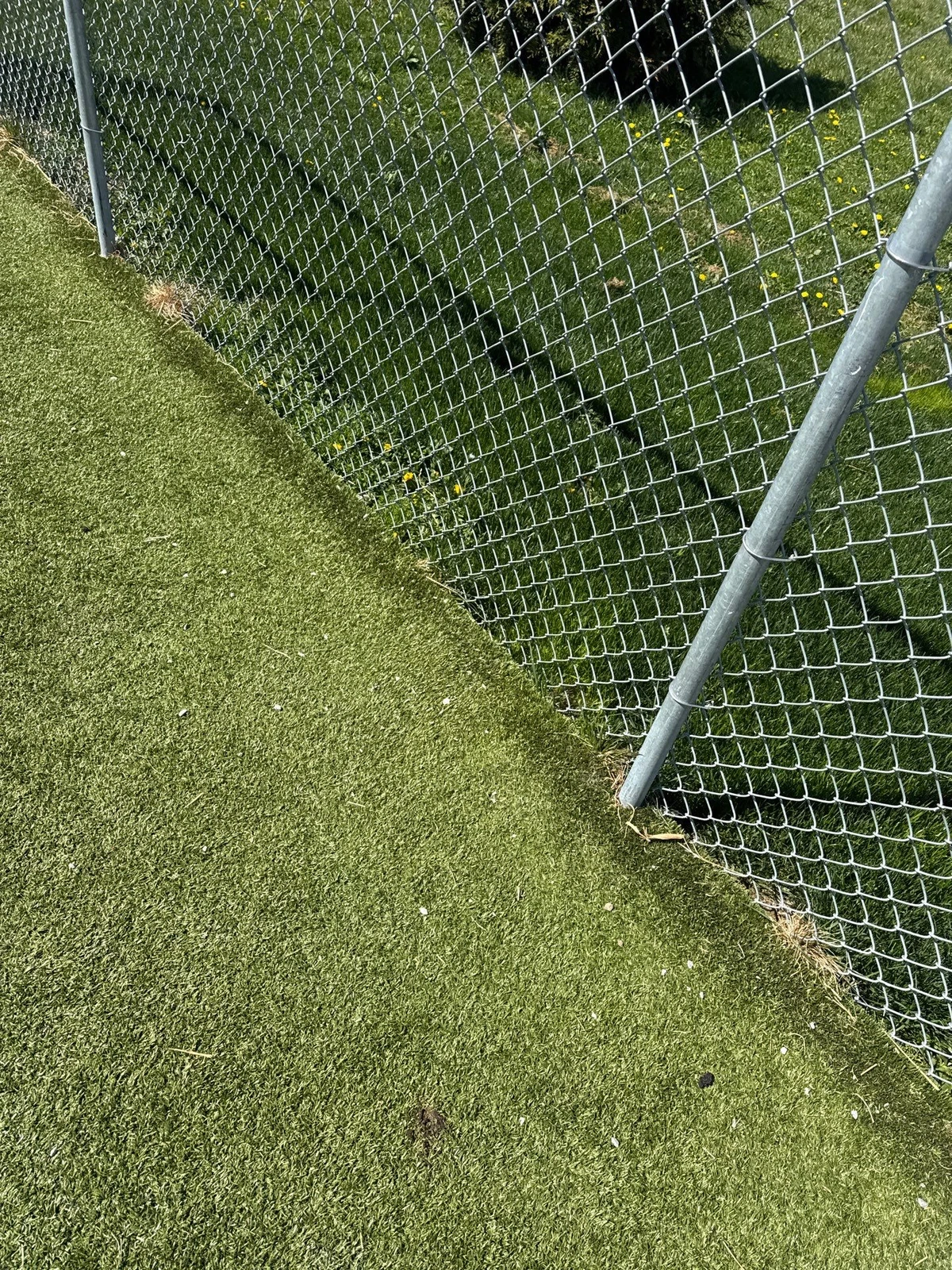 K9Grass artificial turf edge repair along chain-link fence post at Johnson County Animal Shelter pet yard.